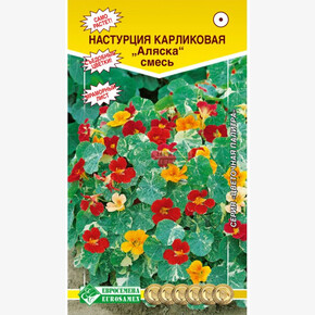 Настурция Аляска смесь/ Евросемена