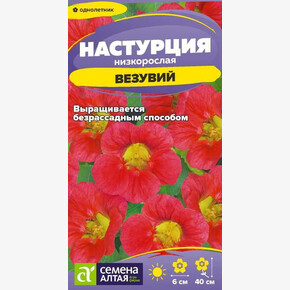 Настурция Везувий низкорослая/Сем Алт/цп 0,5 гр.