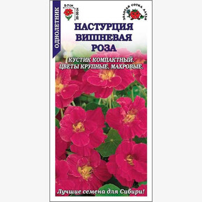 Настурция Вишневая Роза/ Сотка