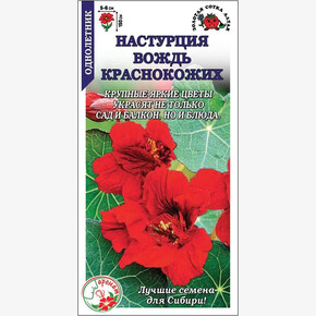 Настурция Вождь Краснокожих/ Сотка