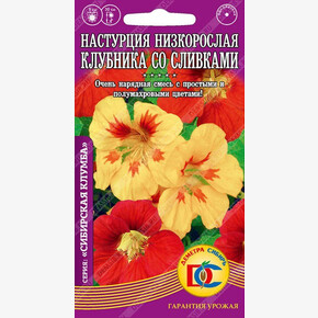 Настурция Клубника со сливками низкорослая /5 шт Дем Сиб/