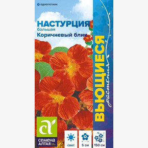 Настурция Коричневый Блик/ Семена Алтая 0,5 гр.