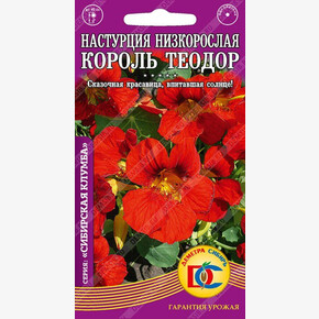 Настурция Король Теодор низкорослая /5 шт Дем Сиб/