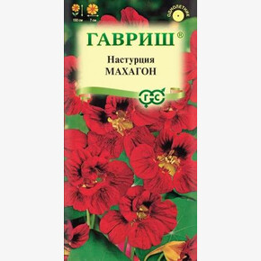 Настурция Махагон/ Гавриш