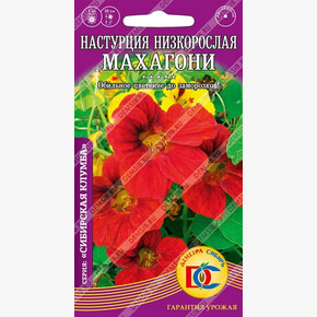 Настурция Махагони низкорослая /5 шт Дем Сиб/