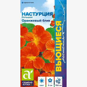 Настурция Оранжевый блик/ Семена Алтая