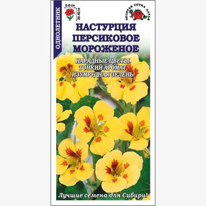 Настурция Персиковое Мороженое/ Сотка