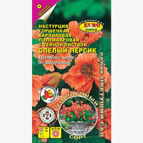 Настурция Спелый персик горшечная карлик. 0,75г/ Аэлита Экстра