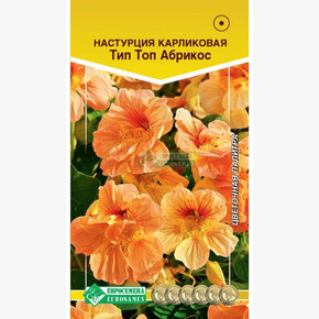 Настурция ТИП ТОП АБРИКОС карликовая (1 гр)/ Евросемена