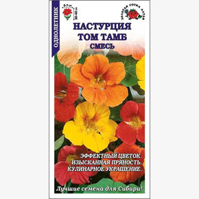 Настурция Том Тамб/ Сотка