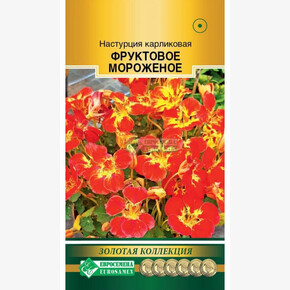 Настурция ФРУКТОВОЕ МОРОЖЕНОЕ малая 5 шт/ Евросемена