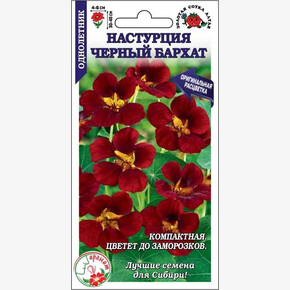 Настурция Черный бархат /Сотка/ 0,5 г