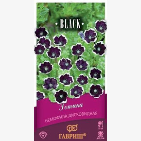 Немофила Готика/ Гавриш
