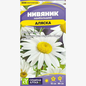 Нивяник Аляска/Сем Алт/цп 0,1 гр. многолетник