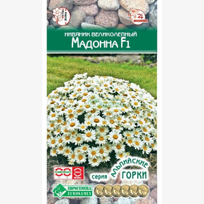 Нивяник МАДОННА 5 шт/ Евросемена