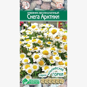 Нивяник СНЕГА АРКТИКИ великолепный 5 шт/ Евросемена