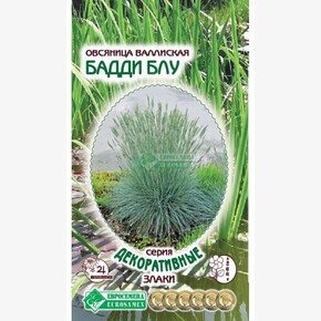 Овсяница БАДДИ БЛУ (10 шт)/ Евросемена