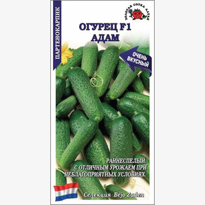 Огурец Адам F1 /Сотка/ 5шт/ партен.раннесп. 8-10см/*1500