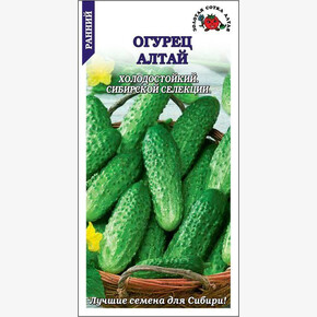 Огурец Алтай /Сотка/