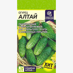 Огурец Алтай/ Семена Алтая