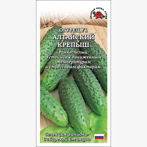 Огурец Алтайский крепыш /Сотка/ 7шт / раннесп. 9-11см
