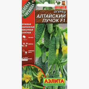 Огурец Алтайский пучок 10шт/ Аэлита
