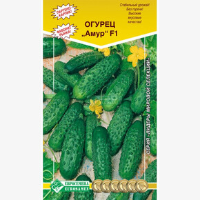 Огурец АМУР (8 шт)/ Евросемена