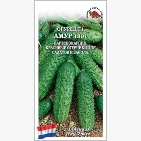 Огурец Амур 1801/ Сотка 5шт