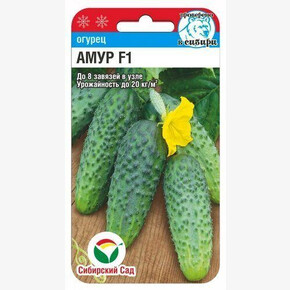 Огурец Амур F1 5шт Сиб Сад