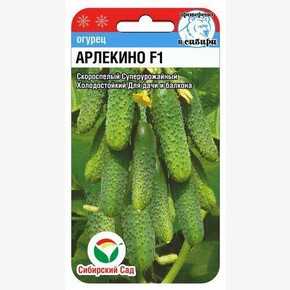 Огурец Арлекино 5шт/ Сибсад