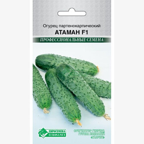 Огурец АТАМАН (5 шт)/ Евросемена