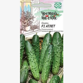 Огурец Атлет /Гавриш 10шт Урожай на окне