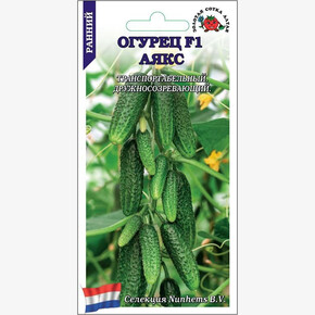 Огурец Аякс (Нунемс) /Сотка/ 5 шт