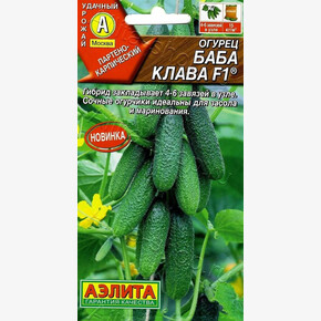 Огурец Баба Клава/ Аэлита