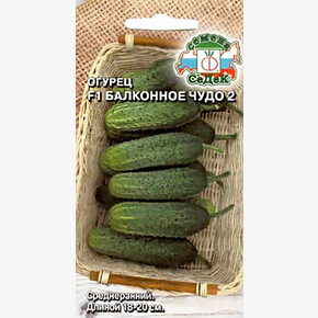 Огурец Балконное чудо 2 0,2г/ СеДеК