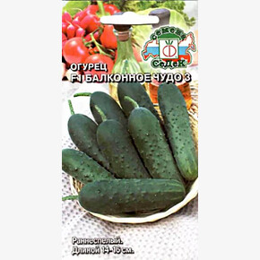 Огурец Балконное чудо 3 0,2г/ СеДеК