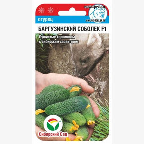 Огурец БАРГУЗИНСКИЙ СОБОЛЕК F1 7шт Сиб Сад
