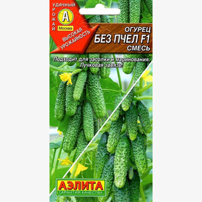 Огурец Без пчел /Аэлита/