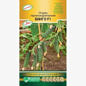 Огурец БИНГО (5 шт)/ Евросемена