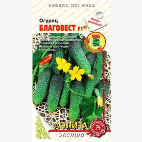 Огурец Благовест 10шт/ Аэлита Экстра