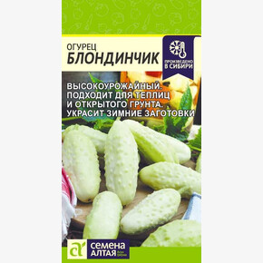 Огурец Блондинчик/Семена Алтая/цп 0,3 гр.