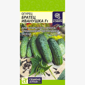 Огурец Братец Иванушка/ Семена Алтая 0,3 гр.