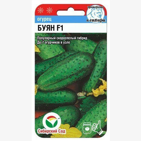 Огурец Буян F1 7шт Сиб сад