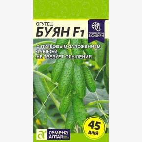 Огурец Буян F1/Сем Алт/цп 5 шт.