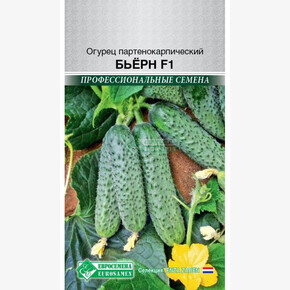 Огурец БЬЕРН 5 шт/ Евросемена