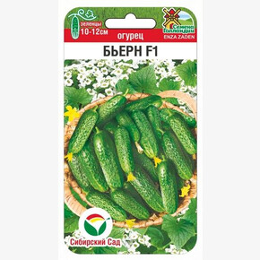 Огурец Бьерн F1 5шт Сиб Сад