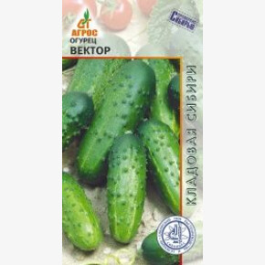 Огурец Вектор 10шт* КС, Россия, ран/ Агрос