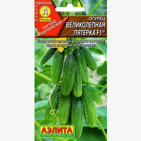 Огурец Великолепная пятерка/ Аэлита
