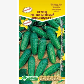 Огурец ВЕРНЫЕ ДРУЗЬЯ 8 шт/ Евросемена