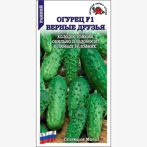 Огурец Верные Друзья/ Сотка